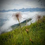 Biobauernhof Stegerbauer Apartment Maria Alm am Steinernen Meer