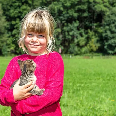 Biobauernhof Stegerbauer