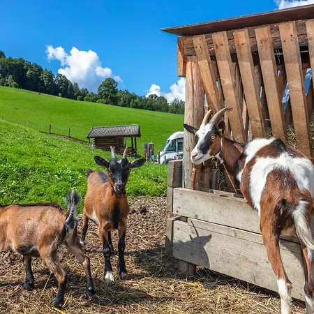 Daire Biobauernhof Stegerbauer *