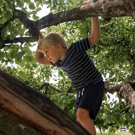 Biobauernhof Stegerbauer