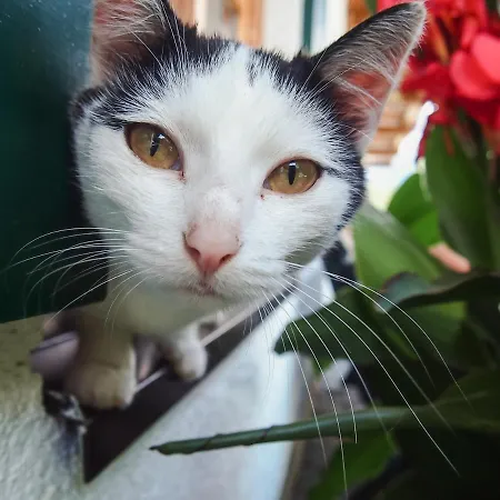 Biobauernhof Stegerbauer *