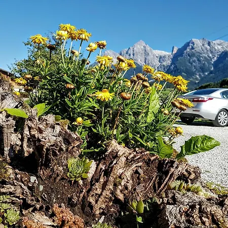 Biobauernhof Stegerbauer Daire *