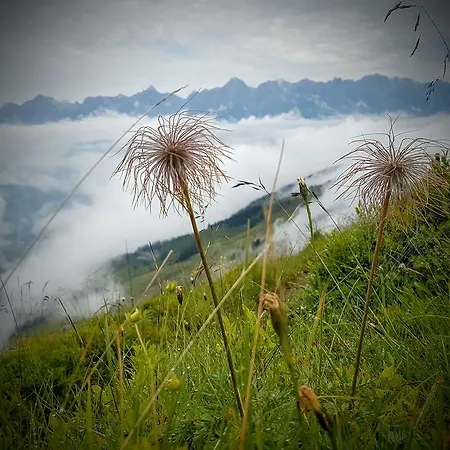 Biobauernhof Stegerbauer Daire Maria Alm am Steinernen Meer