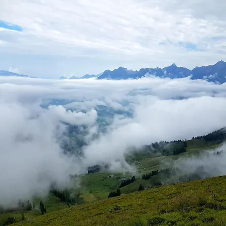 Daire Biobauernhof Stegerbauer