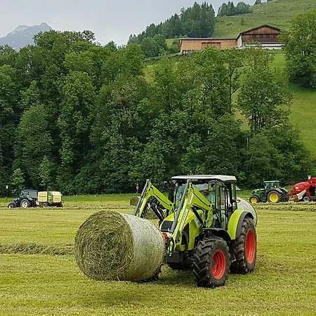Daire Biobauernhof Stegerbauer Maria Alm am Steinernen Meer