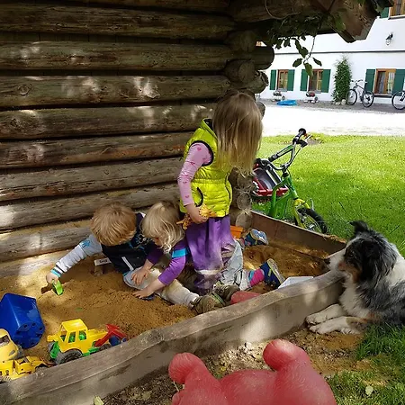 Biobauernhof Stegerbauer Maria Alm am Steinernen Meer