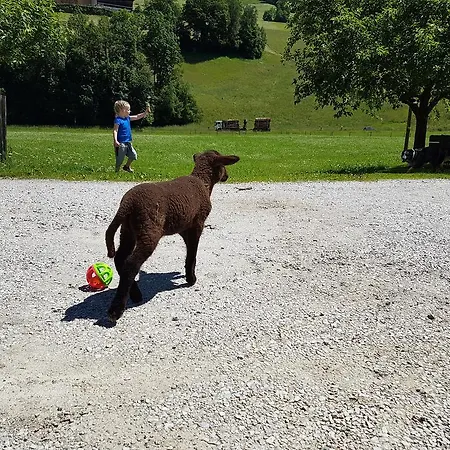 Biobauernhof Stegerbauer