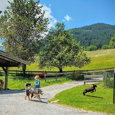 Biobauernhof Stegerbauer * Maria Alm am Steinernen Meer