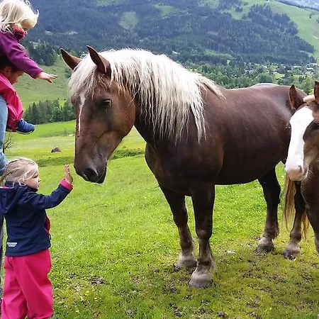 Biobauernhof Stegerbauer