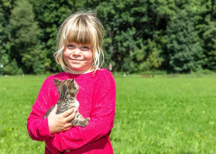 Biobauernhof Stegerbauer