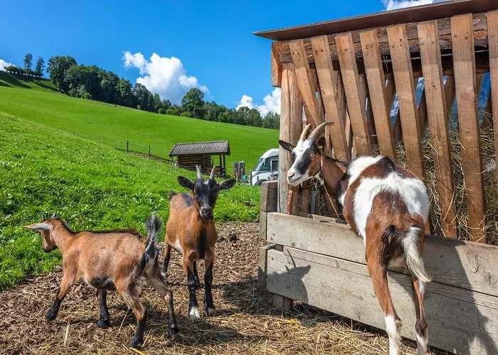 Appartamento Biobauernhof Stegerbauer *