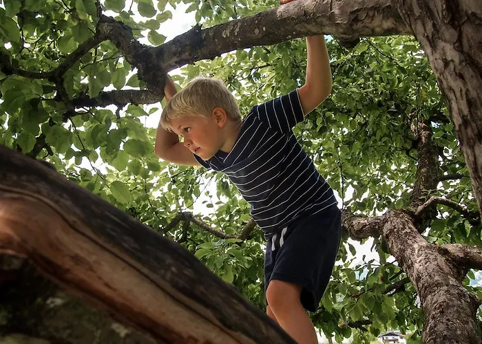 Biobauernhof Stegerbauer