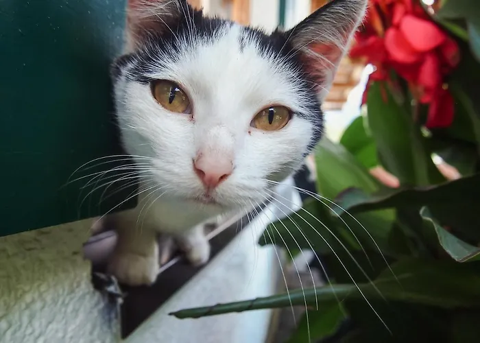 Biobauernhof Stegerbauer *