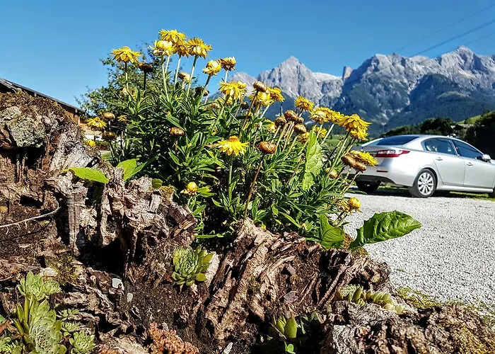 Biobauernhof Stegerbauer Appartamento *