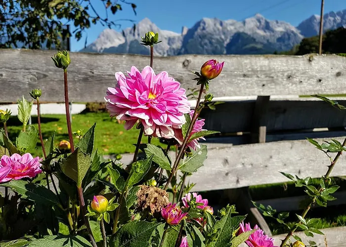Apartamento Biobauernhof Stegerbauer