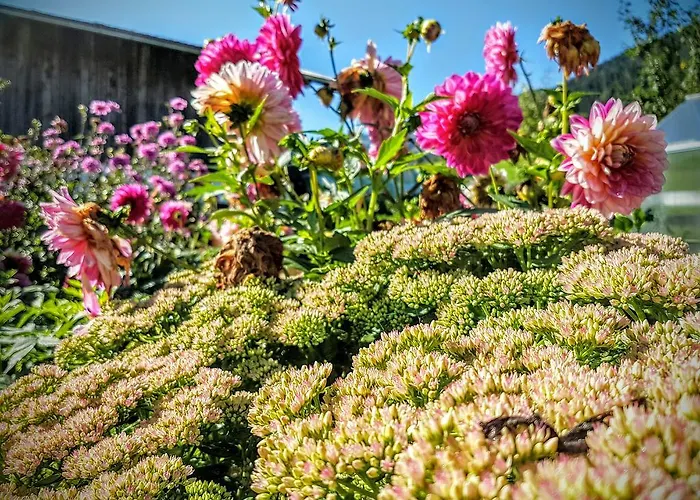 Appartamento Biobauernhof Stegerbauer *