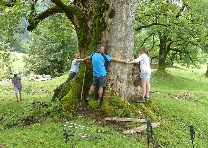Appartamento Biobauernhof Stegerbauer *