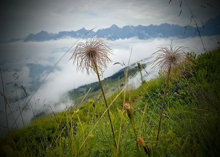 Biobauernhof Stegerbauer Apartamento Maria Alm am Steinernen Meer