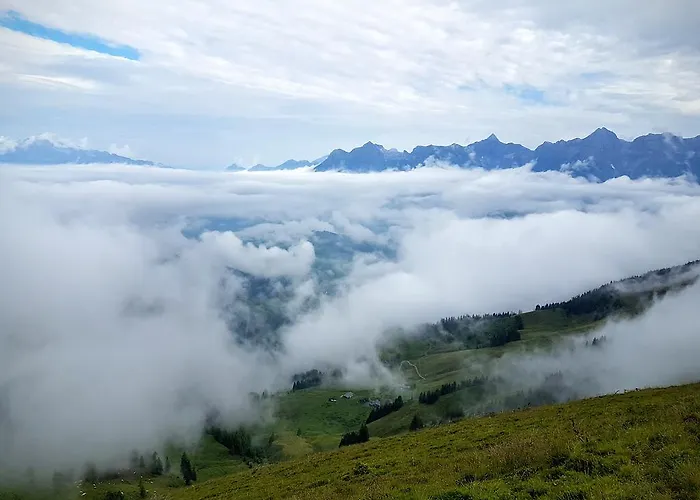 Appartamento Biobauernhof Stegerbauer