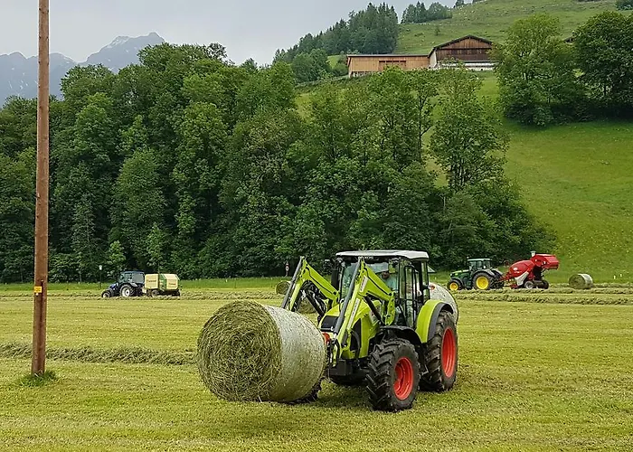 Appartamento Biobauernhof Stegerbauer Maria Alm am Steinernen Meer
