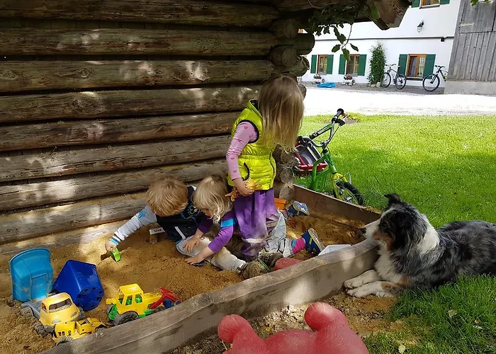 Biobauernhof Stegerbauer Maria Alm am Steinernen Meer