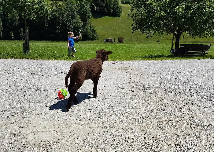 Biobauernhof Stegerbauer