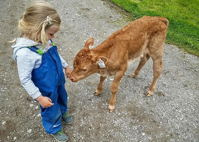 Biobauernhof Stegerbauer Appartamento