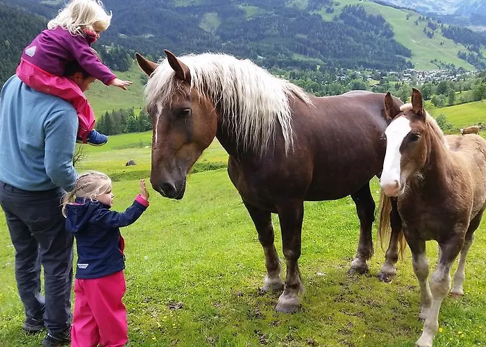 Biobauernhof Stegerbauer